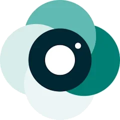 Logo Service Cam